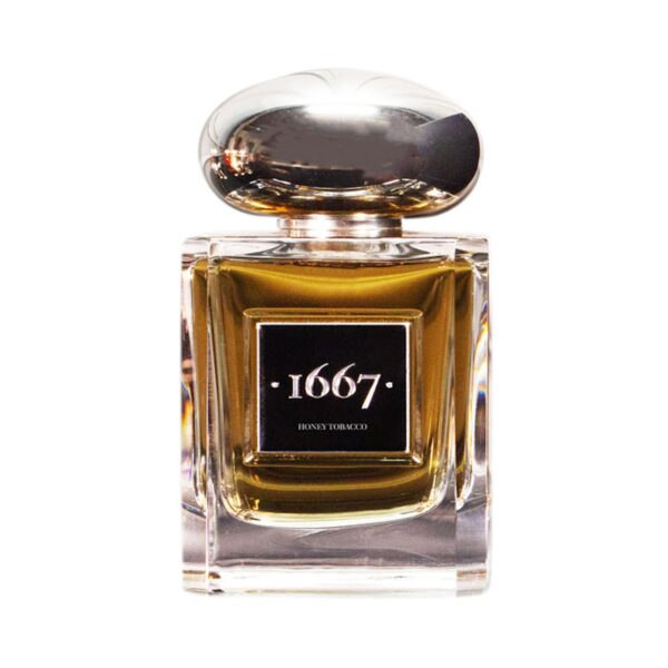 1667